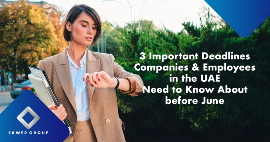 Company formation uae